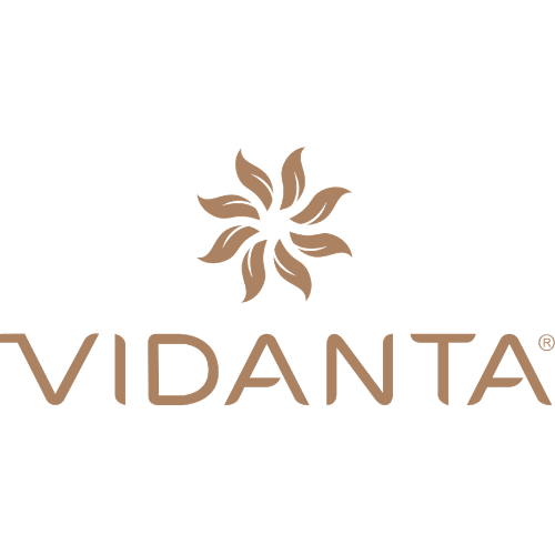 Logo de Grupo Vidanta